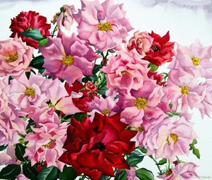 Rote und rosa Rosen, 2008 von Christopher Ryland