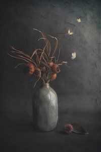  von Cicek Kiral