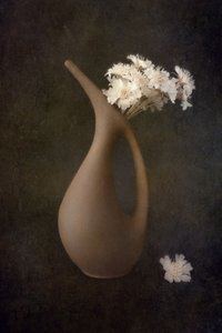 von Cicek Kiral