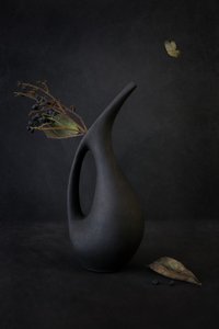 von Cicek Kiral