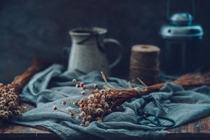 Stimmungsvolles Blumenstillleben von Cindy Liu