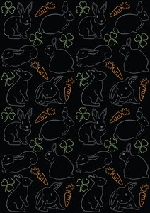 Nachtkaninchen von Claire Huntley