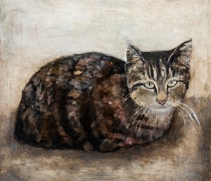 Neugierige Tabby-Katze von Claire Lerner