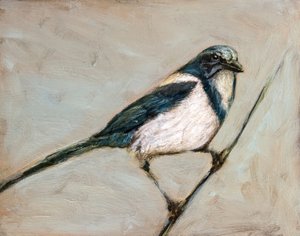 Ruhige Elster auf Zweig