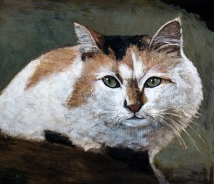 Wachsame Calico-Katze von Claire Lerner