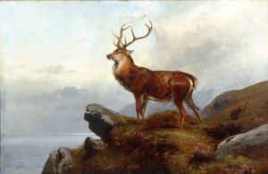Auf der Lauer