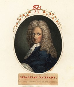Porträt von Sebastian Vaillant, französischer Botaniker