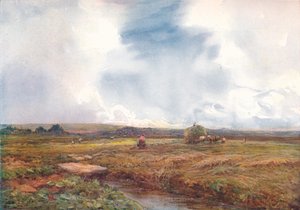 Das Heufeld, 1872-1906, 1906
