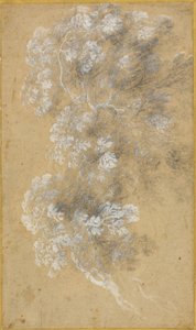 Skizze von Laub und Zweigen von Claude Lorrain