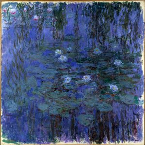 Blaue Seerosen