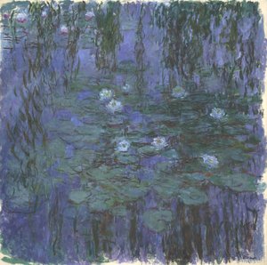 Blaue Seerosen