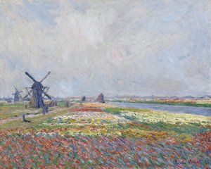 Tulpenfelder bei Den Haag