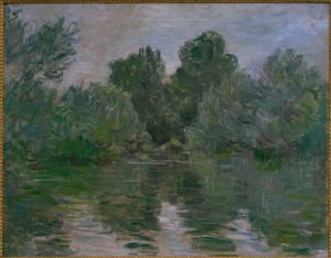 Ein Arm der Seine