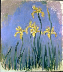 Gelbe Schwertlilien; Les Iris Jaunes, ca. 1918-1925 von Claude Monet