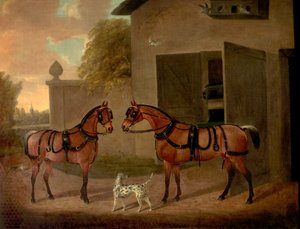 Kutschen, Pferde und Hunde