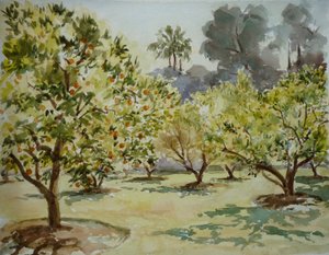 Mamounia, Orangenhaine