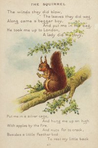 Kinderreim: Das Eichhörnchen