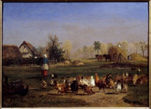 Die Fütterung der Hühner