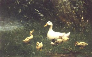 Enten