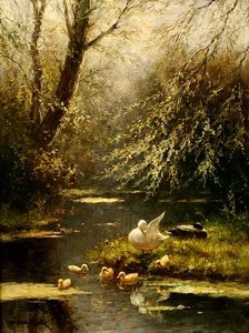 Enten in einer Landschaft