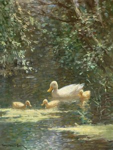 Entenmutter mit Entenküken im Wasser von Constant Artz