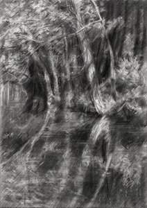 Beschatteter Waldbach