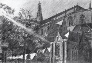 St-Bavo in Haarlem - 03-10-23