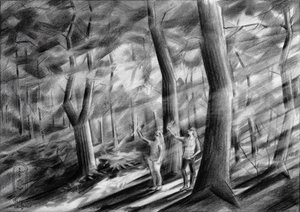 Sonnendurchflutete Waldfiguren von Corné Akkers