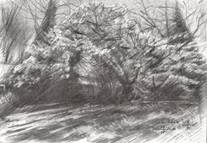 Sonniger Waldweg von Corné Akkers