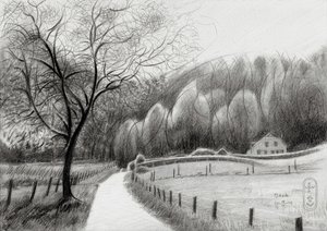 Verschlungener Landweg von Corné Akkers