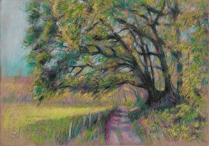 Gewundener Landweg von Corné Akkers