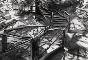 Gewundene Waldtreppen