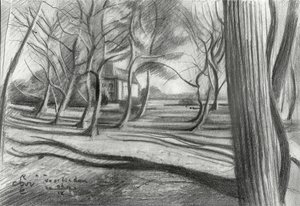 Winterwald Schatten von Corné Akkers