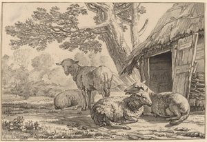 Schafstall, 1781, veröffentlicht 1787 von Cornelis Brouwer