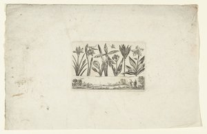Reihe von Blumen über Landschaft