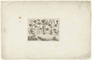 Reihe von Blumen über Landschaft Blumen und Landschaften (Serientitel)