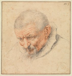 Der Kopf eines alten Mannes von Cornelis Dusart