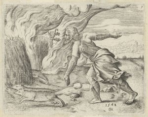 Simson setzt die Kornfelder der Philister in Brand von Cornelis Massijs
