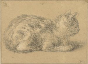 Sitzende Katze, nach rechts von Cornelis Saftleven (possibly)