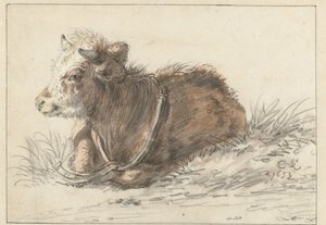 Liegendes Kalb, nach links von Cornelis Saftleven