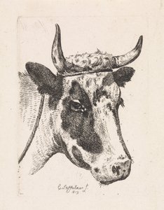 Kopf einer gefleckten Kuh von Cornelis Steffelaar