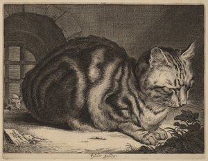 Die große Katze
