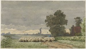 Landschaft mit Schafherde