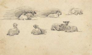 Studie von Schafen von Cornelius Varley