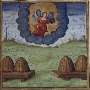 Illustration zu den Georgica von Vergil, 1450-1499