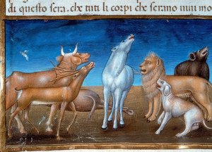 Das Ende der Welt: Und die Sterne werden vom Himmel fallen und die Tiere werden Angst haben von Cristoforo De Predis