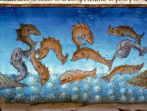 Das Ende der Welt: die Fische werden oben schwimmen von Cristoforo De Predis