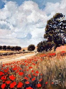 Wilde Mohnblumen, Hertfordshire