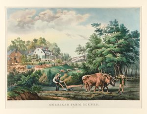 Amerikanische Bauernhofszenen. Nr. 1