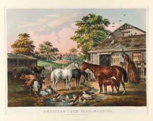 Amerikanischer Bauernhof - Morgen
